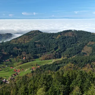 Black Forest, Germany