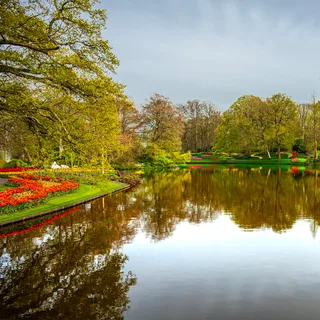 Keukenhof, Netherlands
