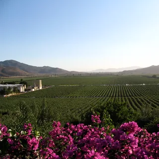 Valle de Guadalupe, Mexico